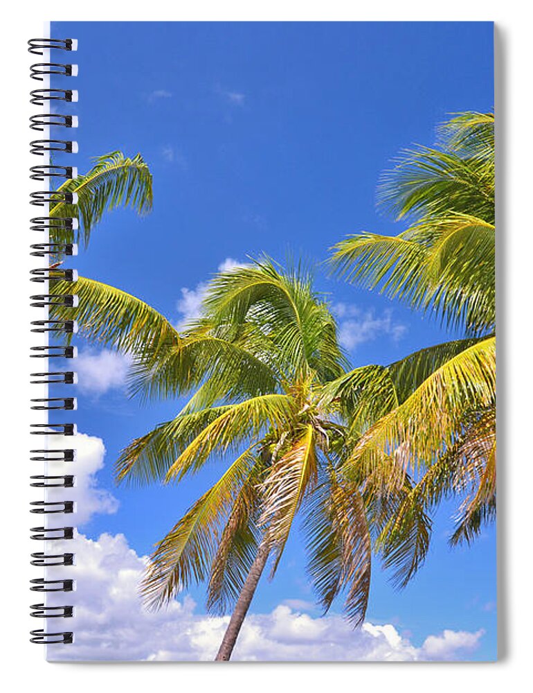 Palm Trees Spiral Notebook featuring the photograph 52- Palms In Paradise by Joseph Keane
