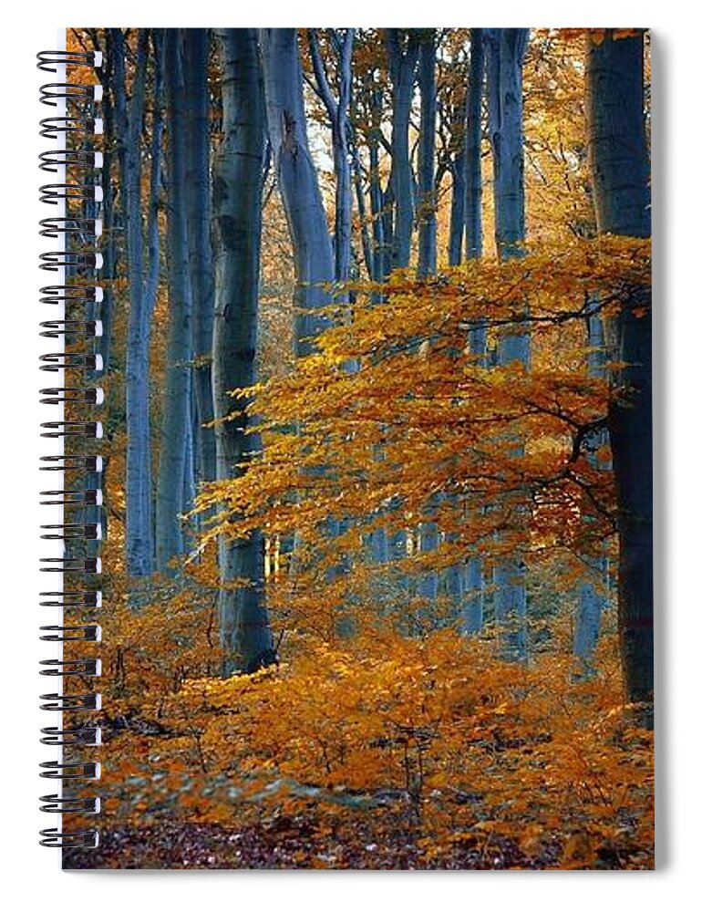 Forest Spiral Notebook featuring the photograph Forest #55 by Mariel Mcmeeking