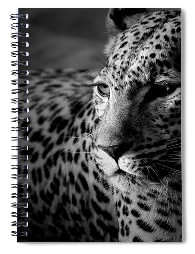 Jaguar Spiral Notebook featuring the digital art Jaguar #6 by Super Lovely