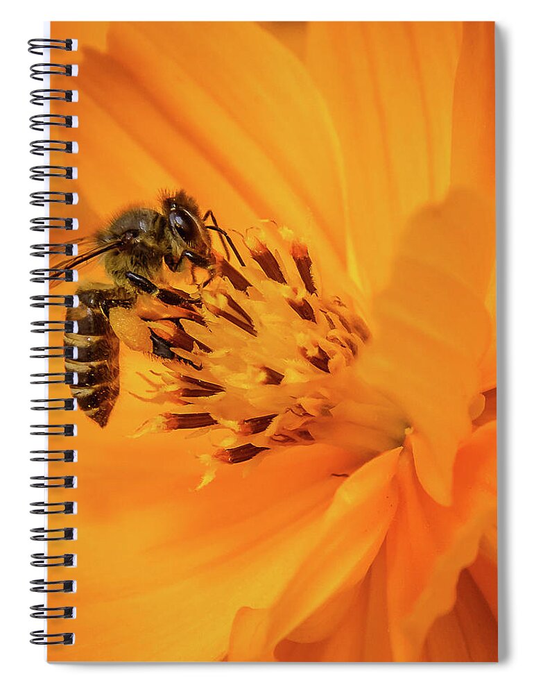 Bee Spiral Notebook featuring the photograph Pollination #6 by SAURAVphoto Online Store