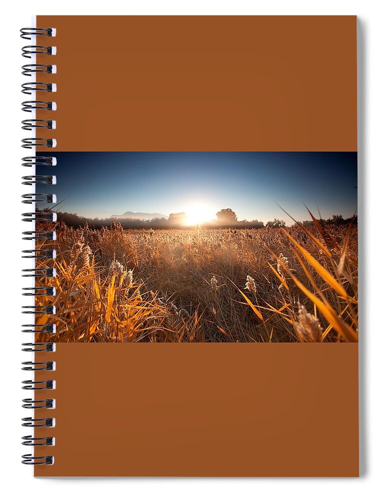 Sunrise Spiral Notebook featuring the photograph Sunrise #6 by Jackie Russo