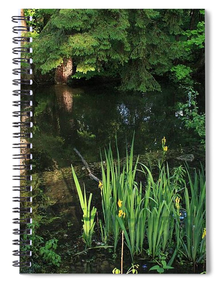 Reflection Spiral Notebook featuring the photograph Reflection #61 by Jackie Russo