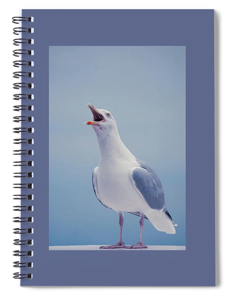 Bird Spiral Notebook featuring the photograph Bird #68 by Mariel Mcmeeking