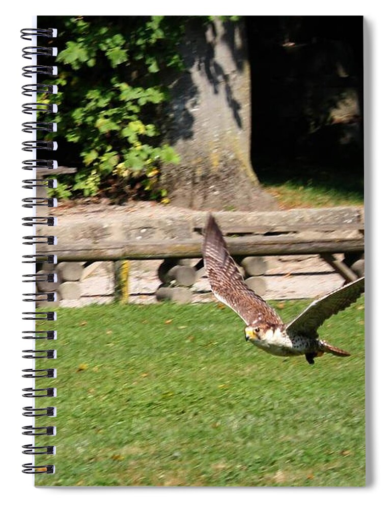 Bird Spiral Notebook featuring the photograph Bird #7 by Jackie Russo