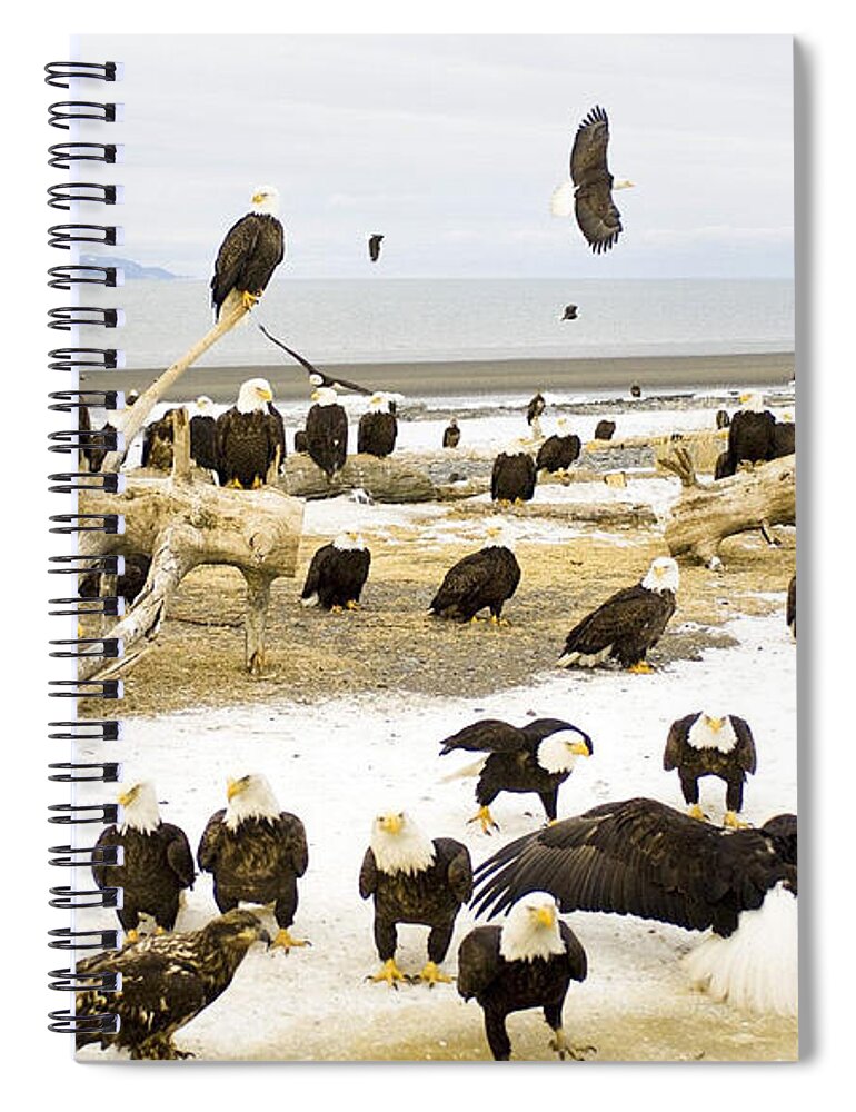 Bird Spiral Notebook featuring the photograph Bird #72 by Jackie Russo