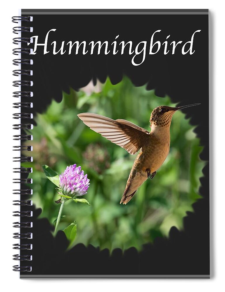 Hummingbird Spiral Notebook featuring the photograph Hummingbird by Holden The Moment