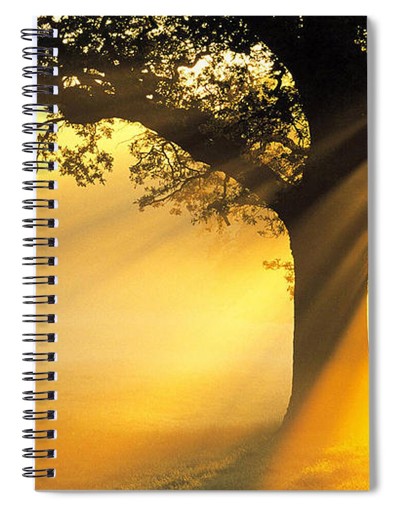 Sunbeam Spiral Notebook featuring the photograph Sunbeam #8 by Jackie Russo
