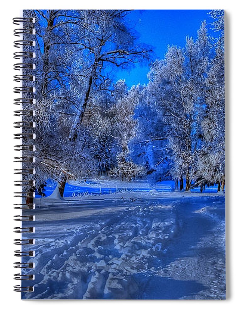 Winter Spiral Notebook featuring the photograph Winter #8 by Mariel Mcmeeking