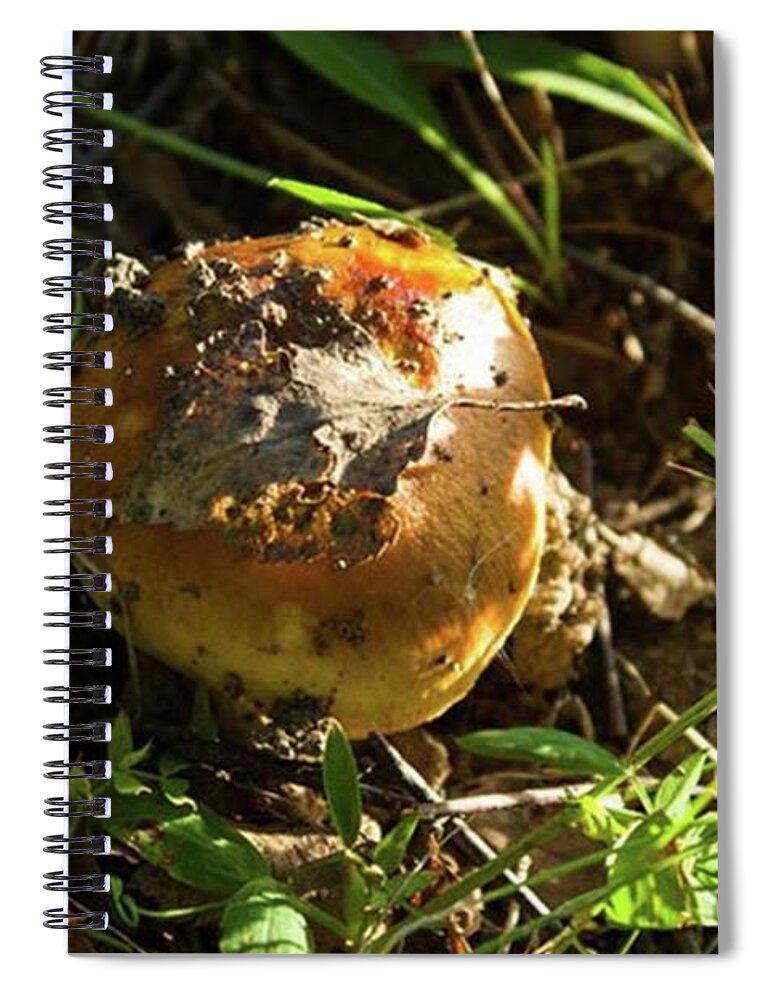 макро Spiral Notebook featuring the photograph Mushrooms by Alexei Adenshchikov