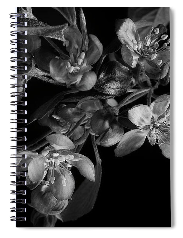 Flower Spiral Notebook featuring the photograph A Black And White Spring by Mike Eingle