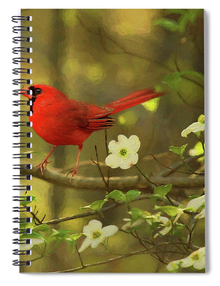 Digital Painting Spiral Notebook featuring the photograph A Cardinal and His Dogwood by Darren Fisher