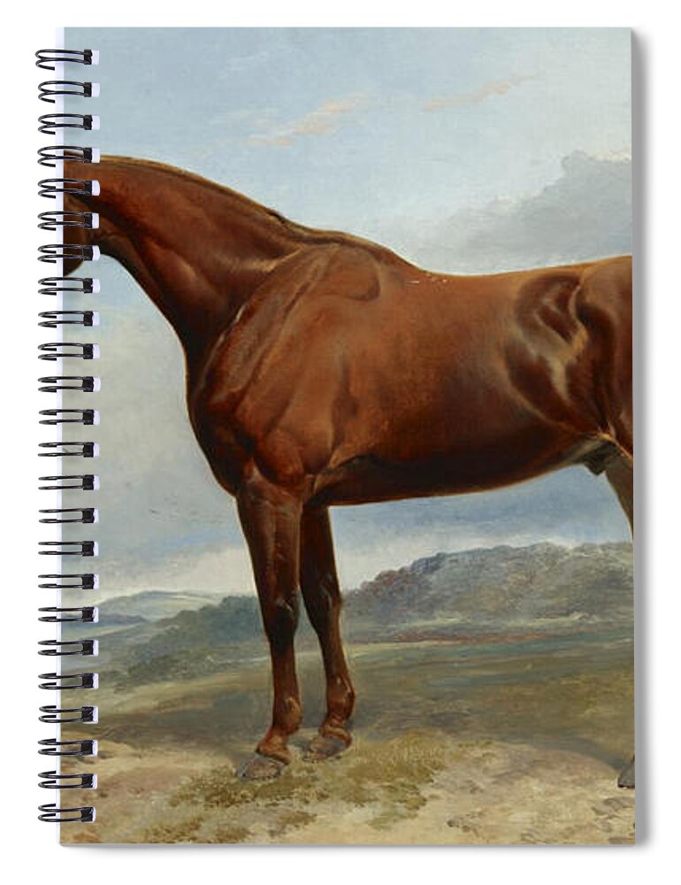 Richard Ansdell Spiral Notebook featuring the painting A Chestnut Hunter in a Landscape by Richard Ansdell