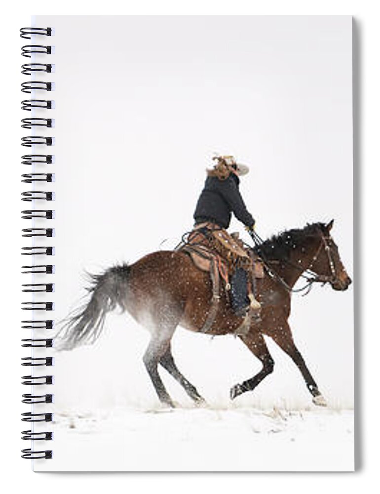 Horse Spiral Notebook featuring the photograph A Chilly Ride by Pamela Steege