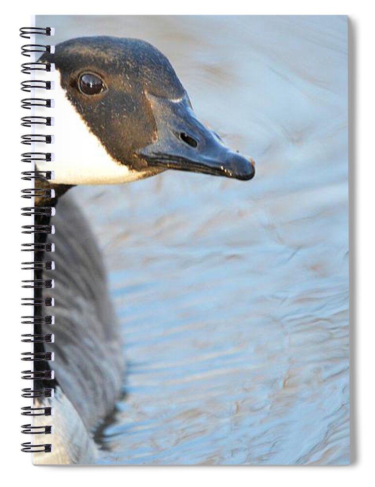 Goose Spiral Notebook featuring the photograph A Closer Look by Bonfire Photography