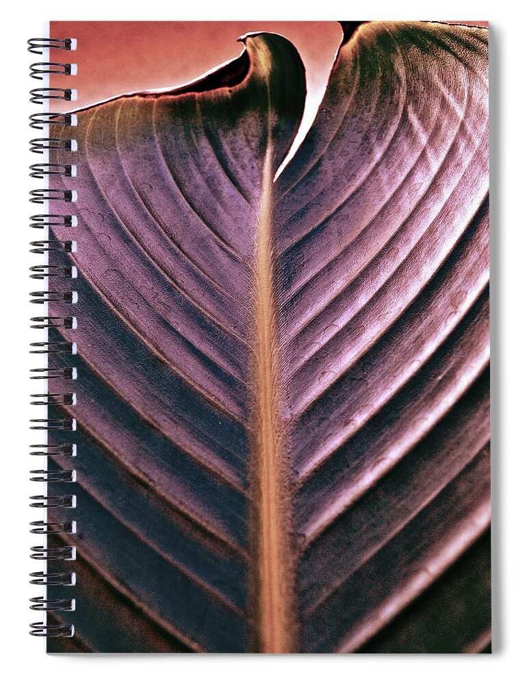 Foliage Spiral Notebook featuring the photograph A Cut Above by Gwyn Newcombe