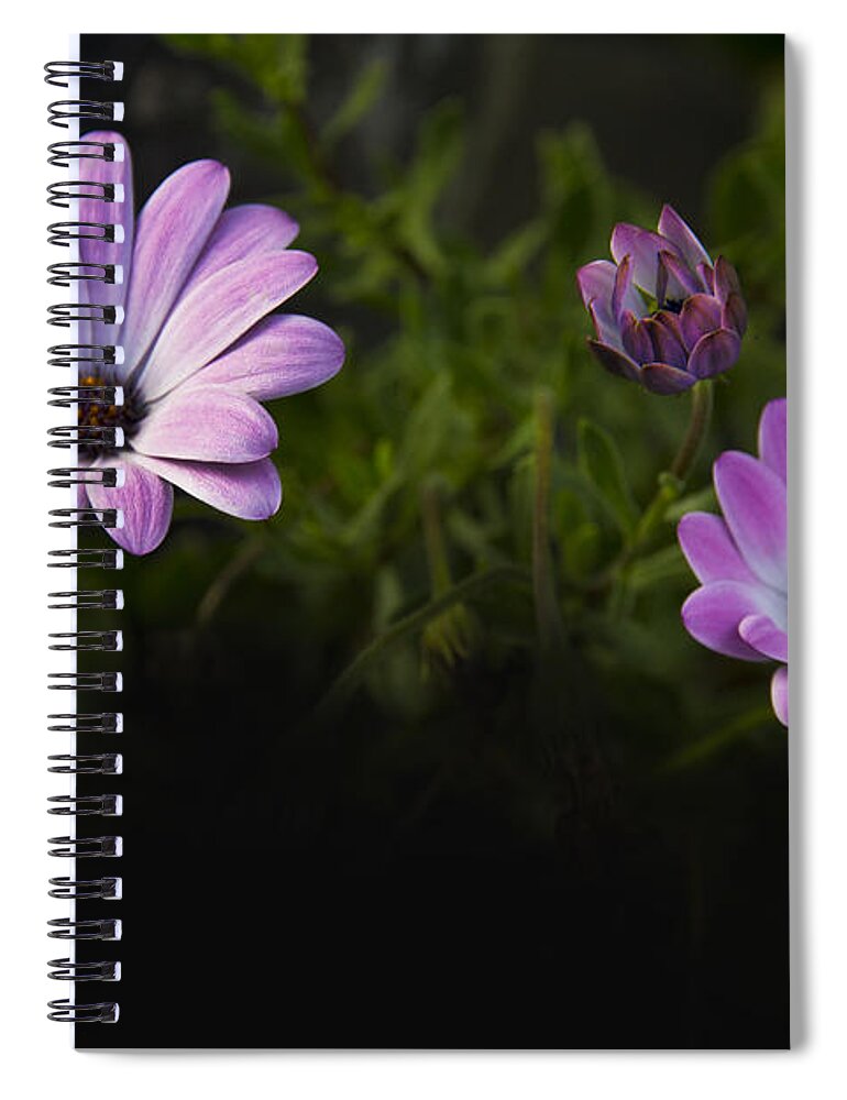 Purple Spiral Notebook featuring the photograph A Garden To Remember II by Al Bourassa