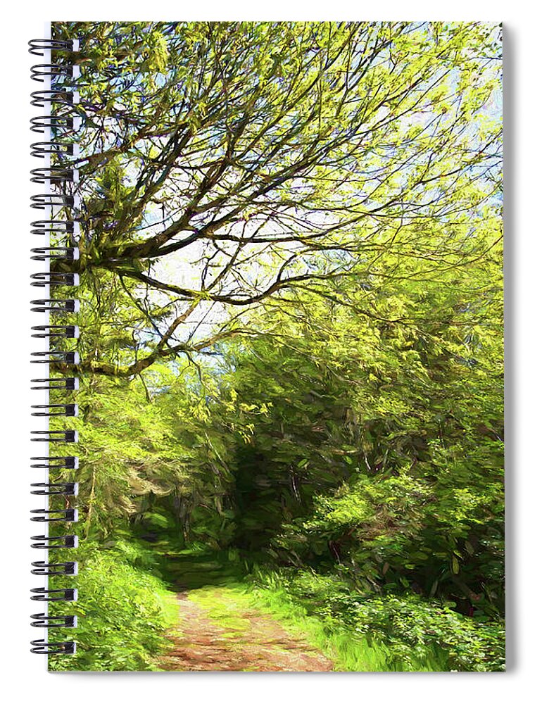 Greeting Card Spiral Notebook featuring the photograph A Gentle Path by Allan Van Gasbeck