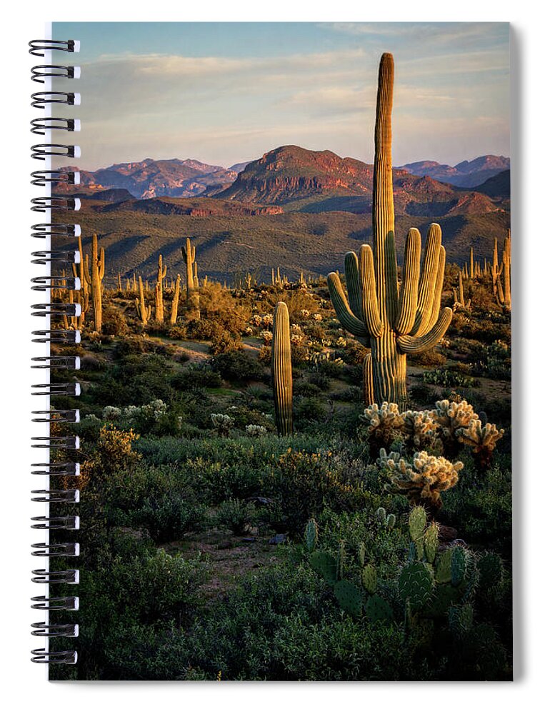 Arizon Spiral Notebook featuring the photograph A Golden Sonoran Evening by Saija Lehtonen