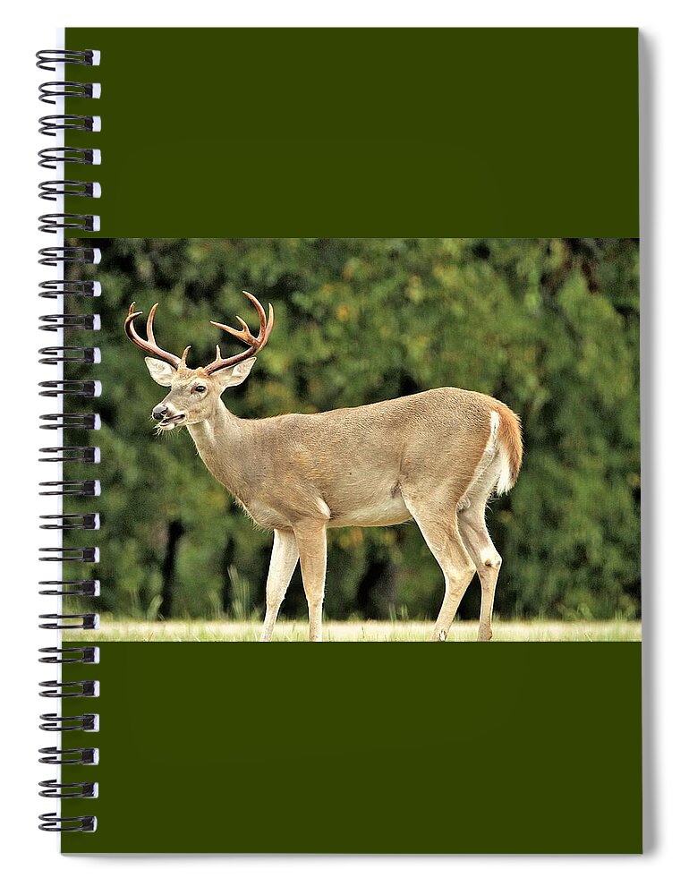 Nature Spiral Notebook featuring the photograph A Hunter's Delight by Sheila Brown