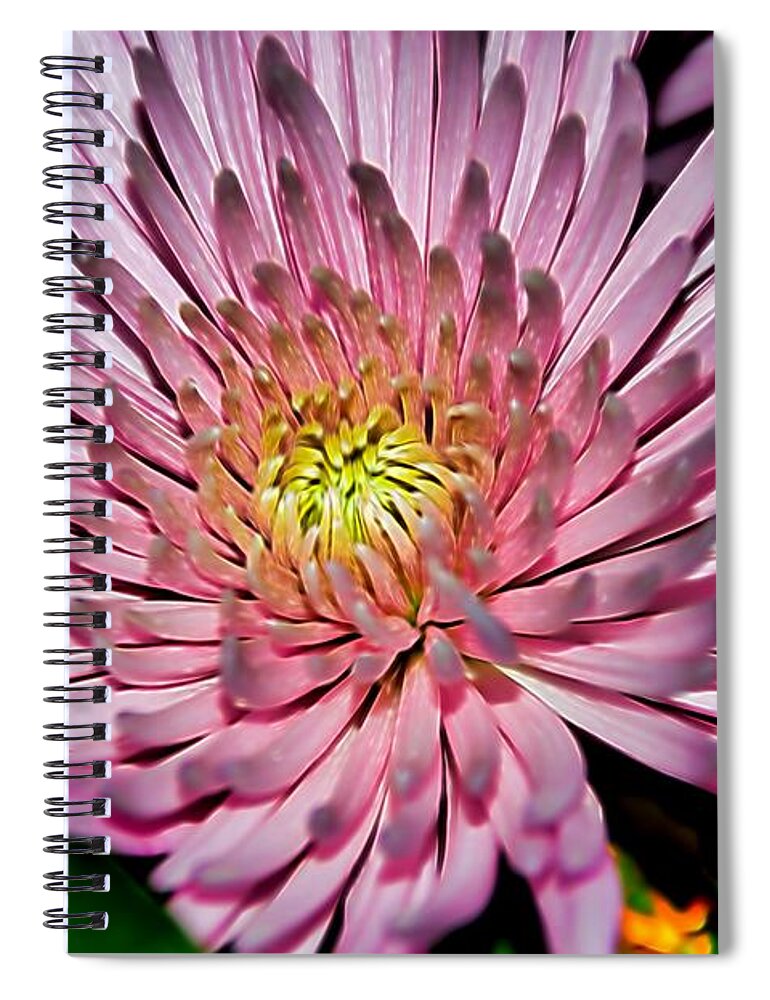 Diana Mary Sharpton Photography Spiral Notebook featuring the photograph A Jewel by Diana Mary Sharpton