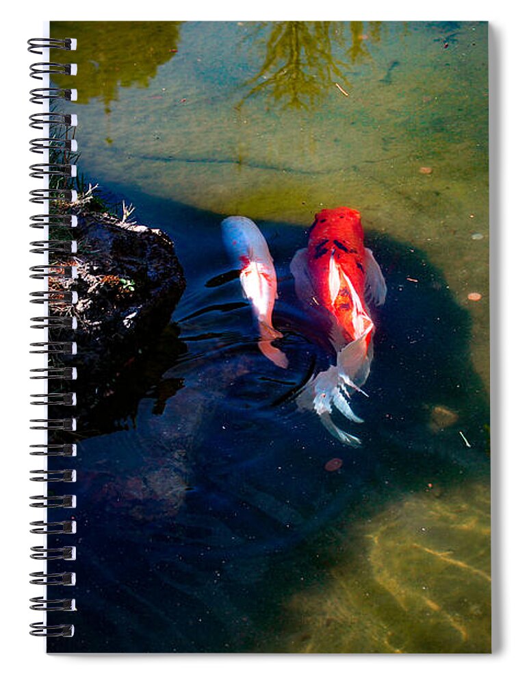 Bonnie Follett Spiral Notebook featuring the photograph A Koi Romance by Bonnie Follett
