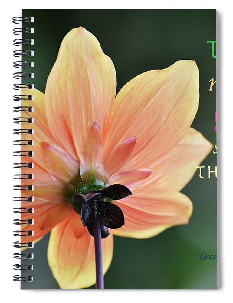 Grandma Spiral Notebook featuring the photograph A Lesson Of Sharing by Debby Pueschel