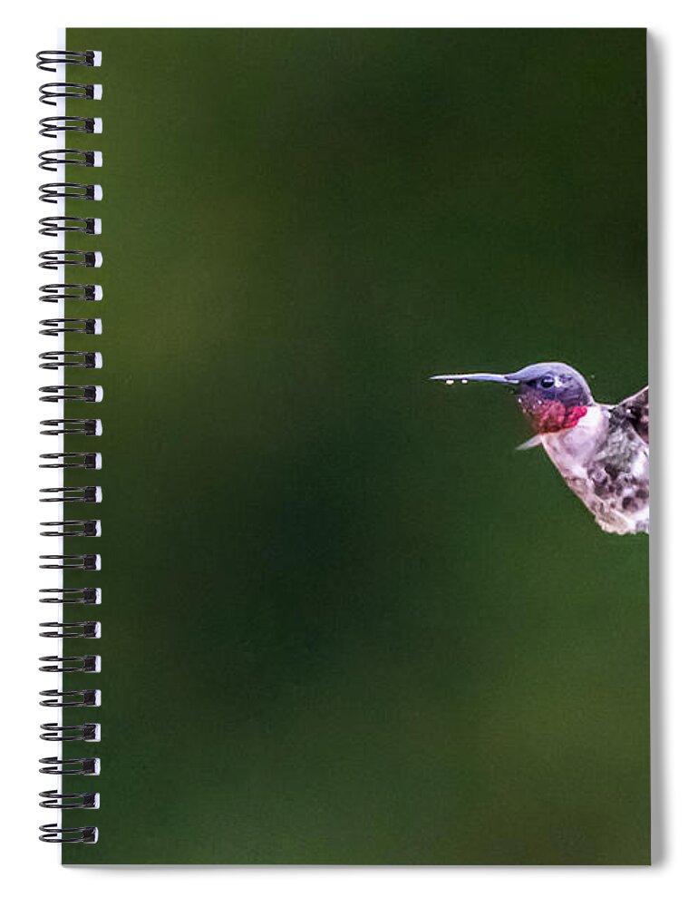 Bird Spiral Notebook featuring the photograph A Little Something on the Chin by Steven Santamour