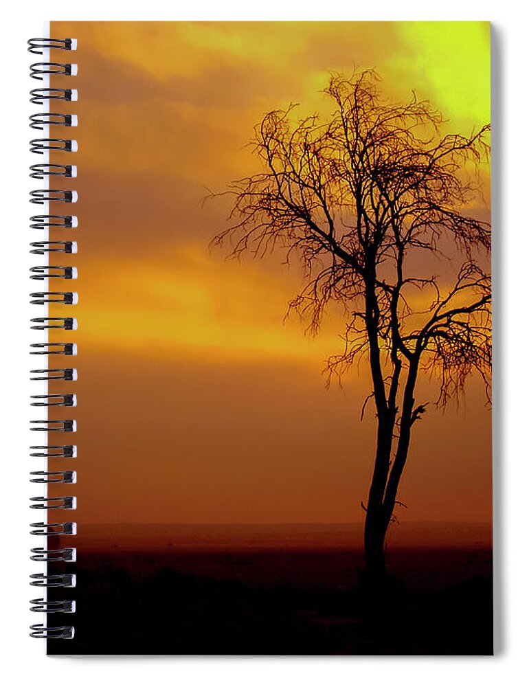 Psi Spiral Notebook featuring the photograph A lone tree at sunset by Ezra Zahor