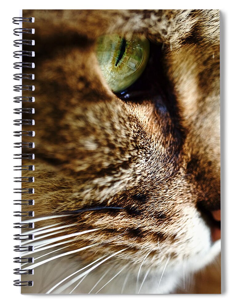 Macro Spiral Notebook featuring the photograph A Lookout by Rachel Morrison