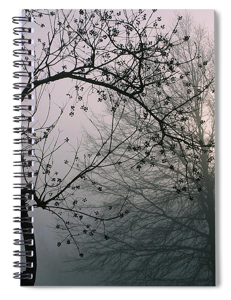 Sunrise Spiral Notebook featuring the photograph A Mississippi Sunrise by Cora Wandel