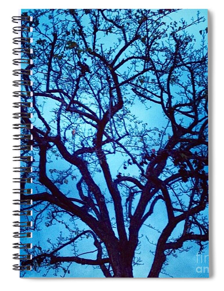 Tree Spiral Notebook featuring the photograph A Moody Broad by Denise Railey