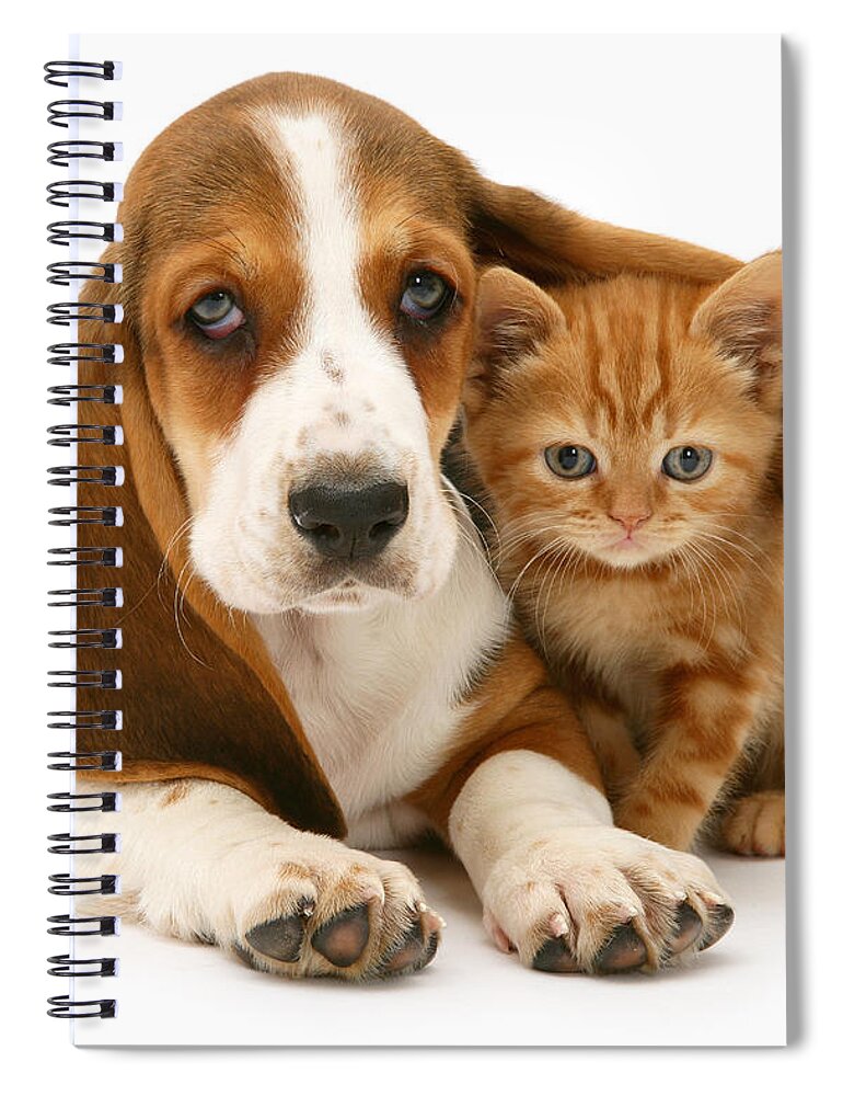 Ginger Spiral Notebook featuring the photograph A new meaning to Cat Flap by Warren Photographic