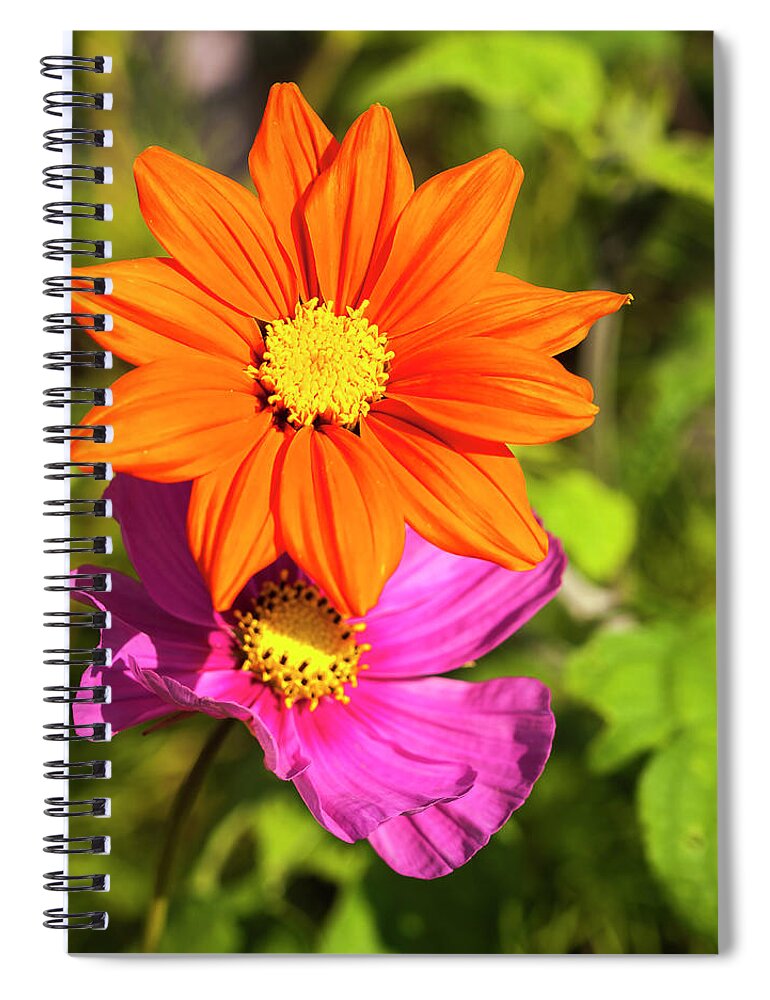 Mexican Sunflower Spiral Notebook featuring the photograph A Pair Of Flowers 2017 by Thomas Young