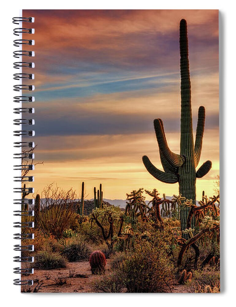 Saguaro Sunset Spiral Notebook featuring the photograph A Pastel Desert Winter by Saija Lehtonen