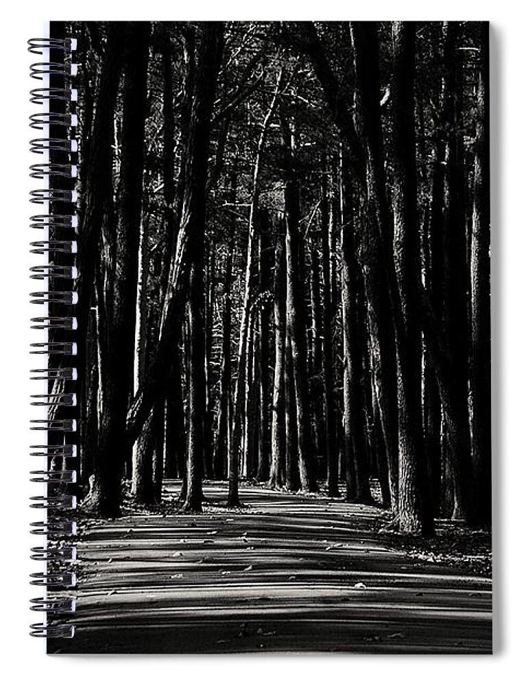 Nature Spiral Notebook featuring the photograph A Path into Light and Darkness by Angie Tirado