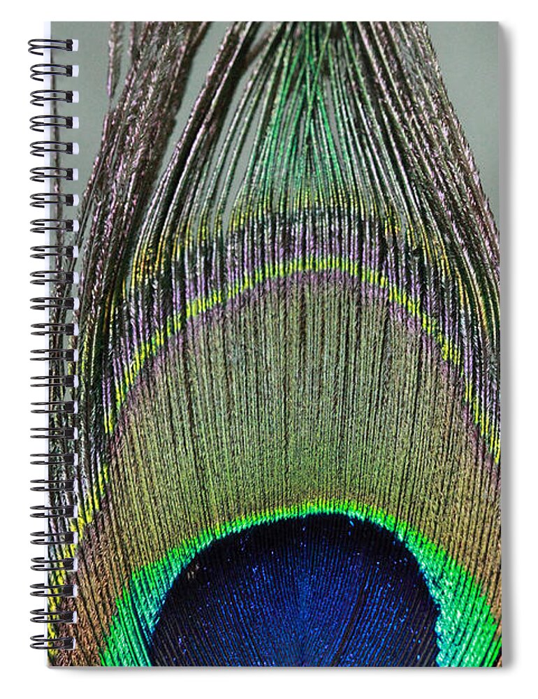 Peaock Spiral Notebook featuring the photograph A peek at a Peacock Feather by Angela Murdock