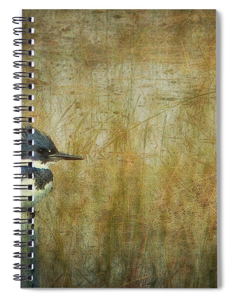 Belted Kingfisher Spiral Notebook featuring the photograph A Perched Belted Kingfisher by Carla Parris