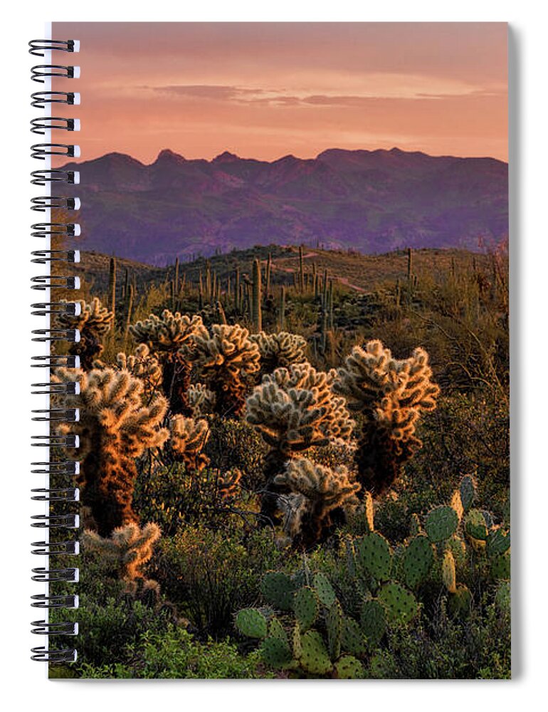 Saguaro Sunset Spiral Notebook featuring the photograph A Pink Kissed Sunset by Saija Lehtonen