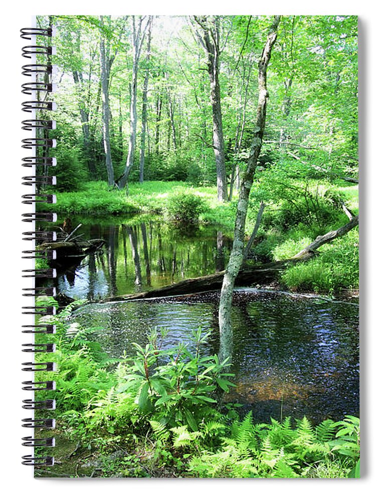 Landscapes Spiral Notebook featuring the photograph A Place Of Reflections by Trina Ansel