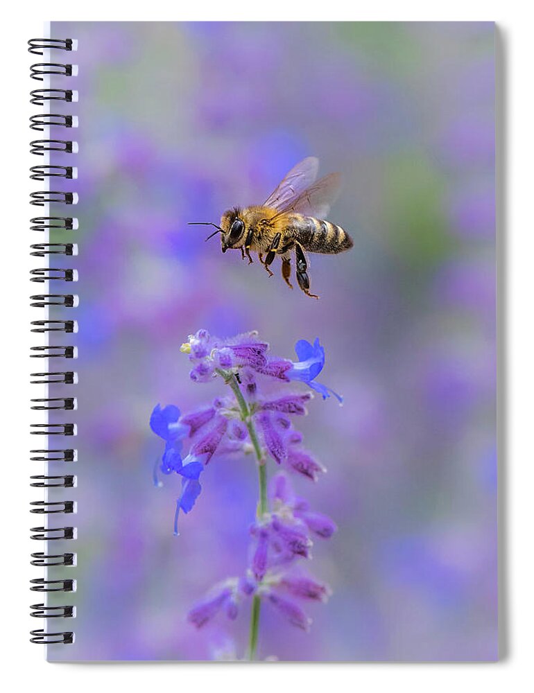 Nature Spiral Notebook featuring the photograph A Practice in Patience by Gary Kochel