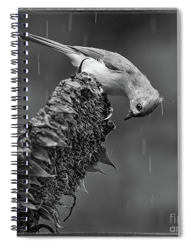 Aves Spiral Notebook featuring the photograph A Rainy Day by Heather Hubbard