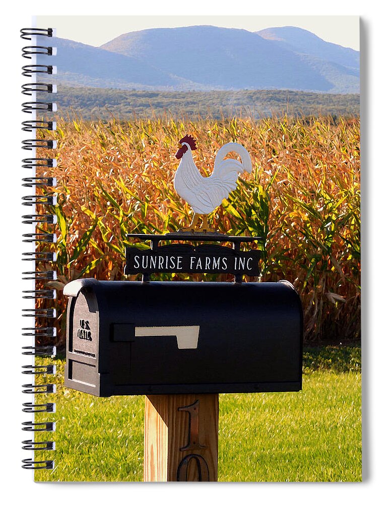 Rooster Mailbox Spiral Notebook featuring the painting A rooster above a mailbox 1 by Jeelan Clark