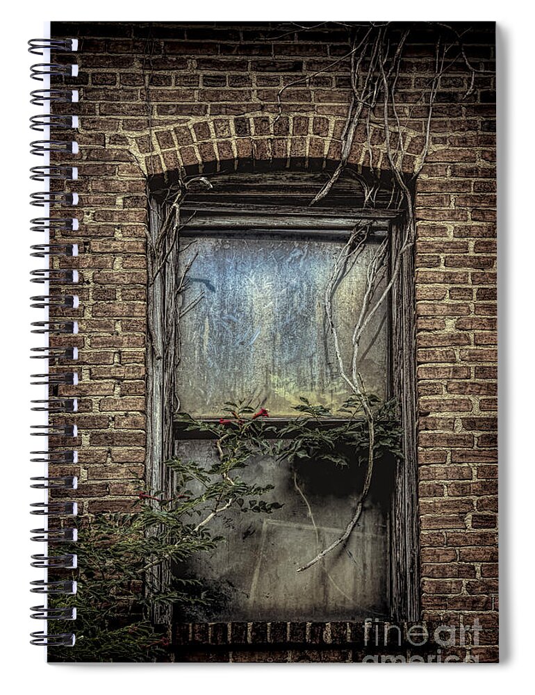 Window Spiral Notebook featuring the photograph A Sign of Life by Ken Johnson