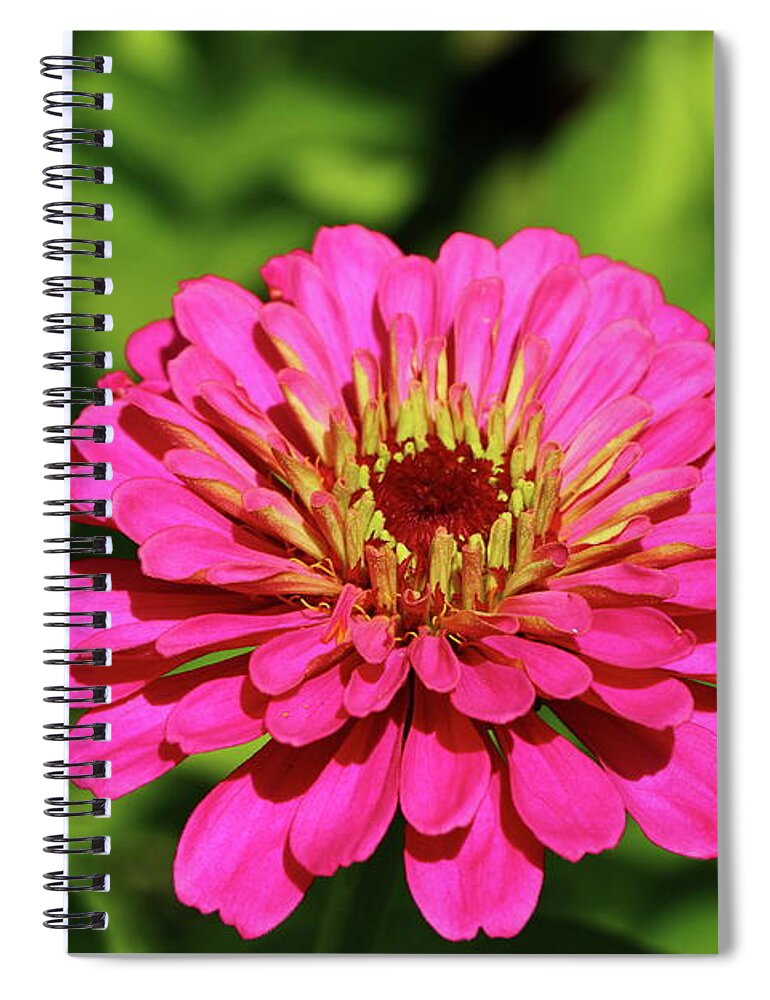  Animal Spiral Notebook featuring the photograph A Slice Of Summer by Christiane Schulze Art And Photography