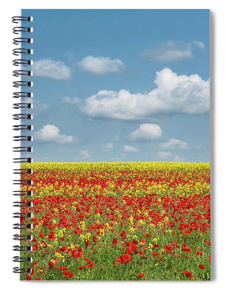 Wildflowers Spiral Notebook featuring the photograph A Splatter of Red by Tim Gainey