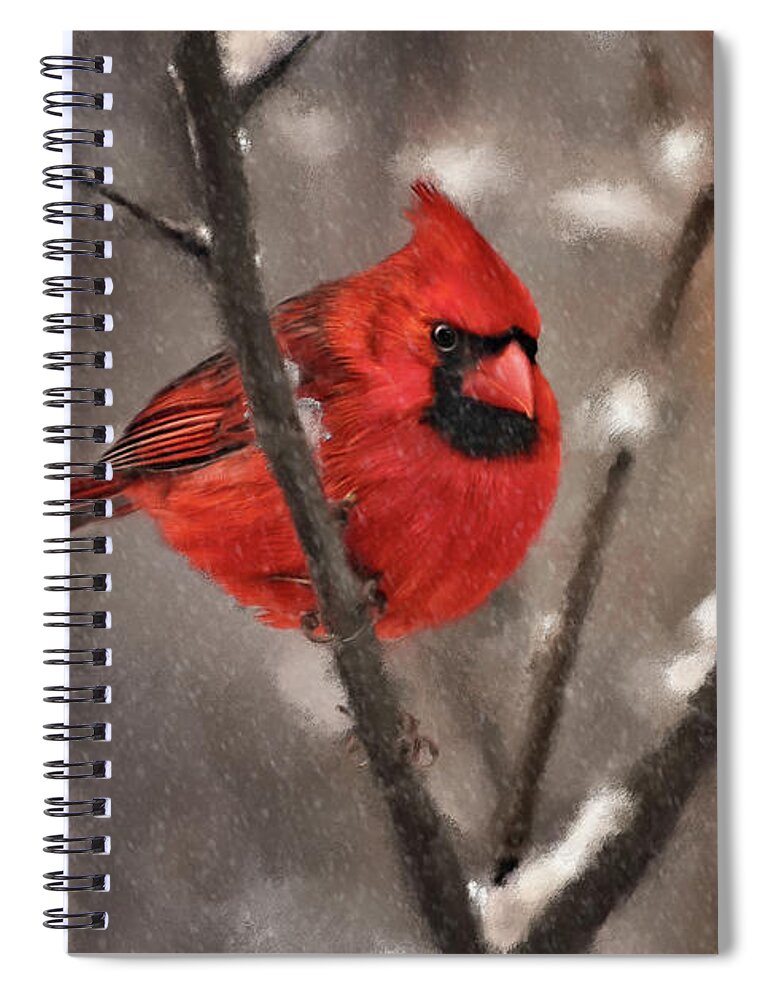 Cardinal Spiral Notebook featuring the digital art A Spot Of Color by Lois Bryan
