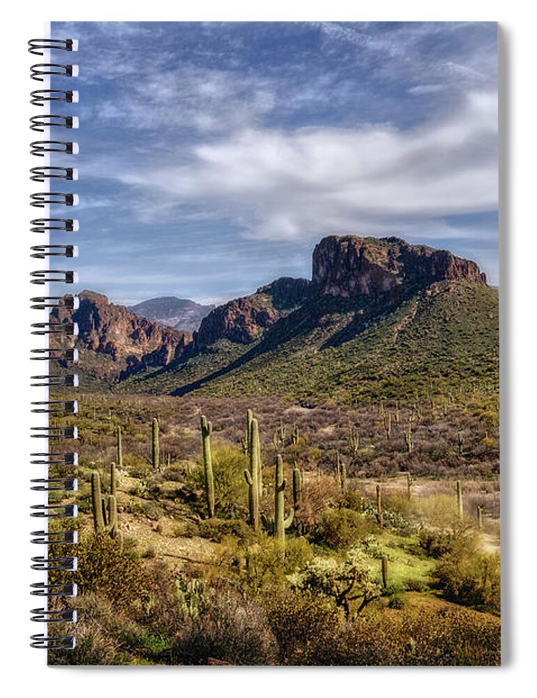 Arizona Spiral Notebook featuring the photograph A Spring Desert Morning by Saija Lehtonen