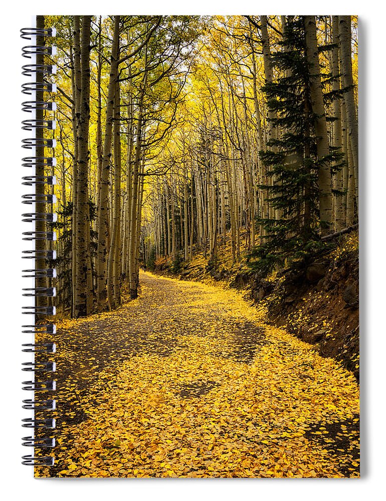 Fall Spiral Notebook featuring the photograph A Stroll Among the Golden Aspens by Saija Lehtonen