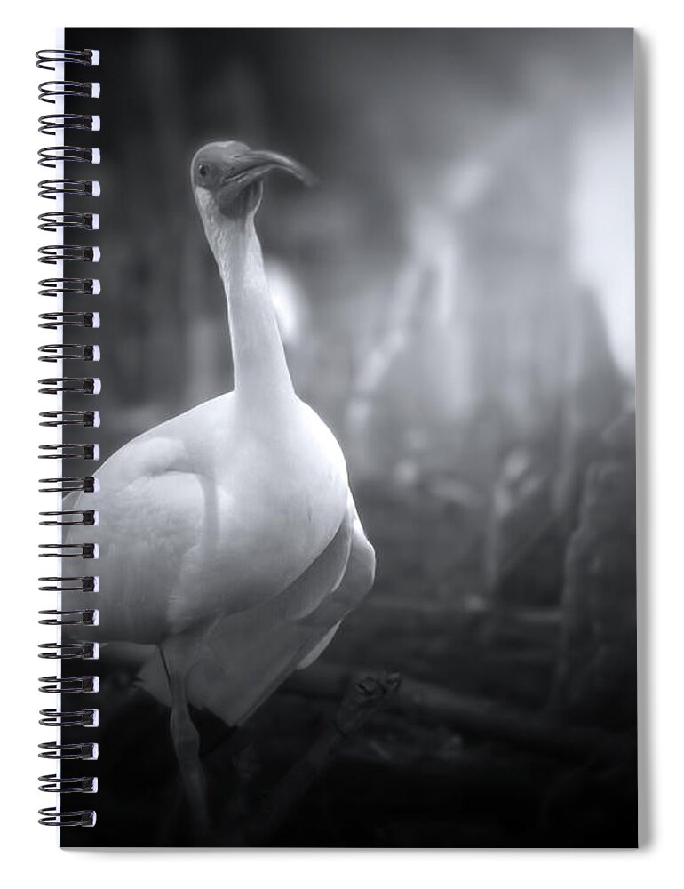 Ibis Spiral Notebook featuring the photograph A Stroll Through The Forest by Mark Andrew Thomas
