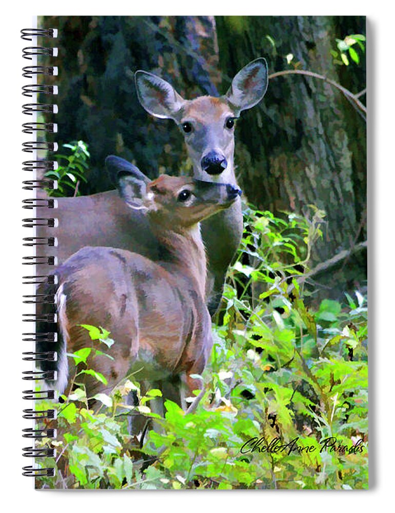 Deer Spiral Notebook featuring the photograph A Tender Moment by ChelleAnne Paradis